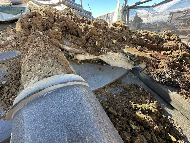 棟瓦取り外し後